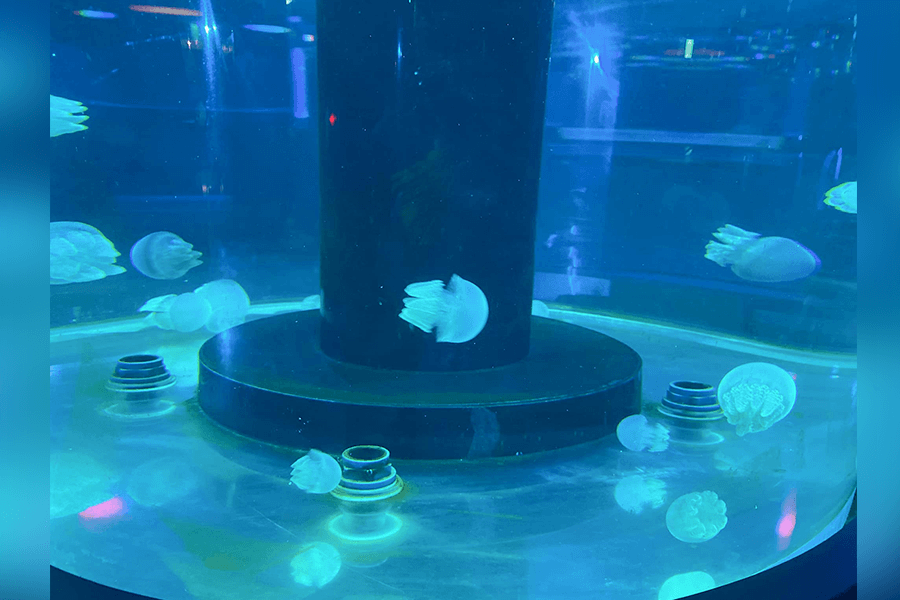 潮境智能海洋館