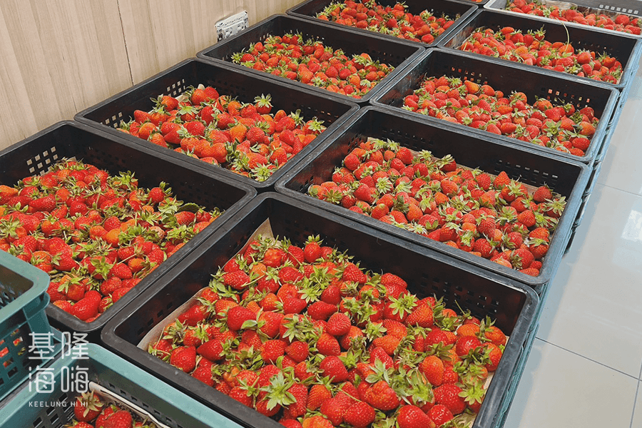 甜園, 草莓
