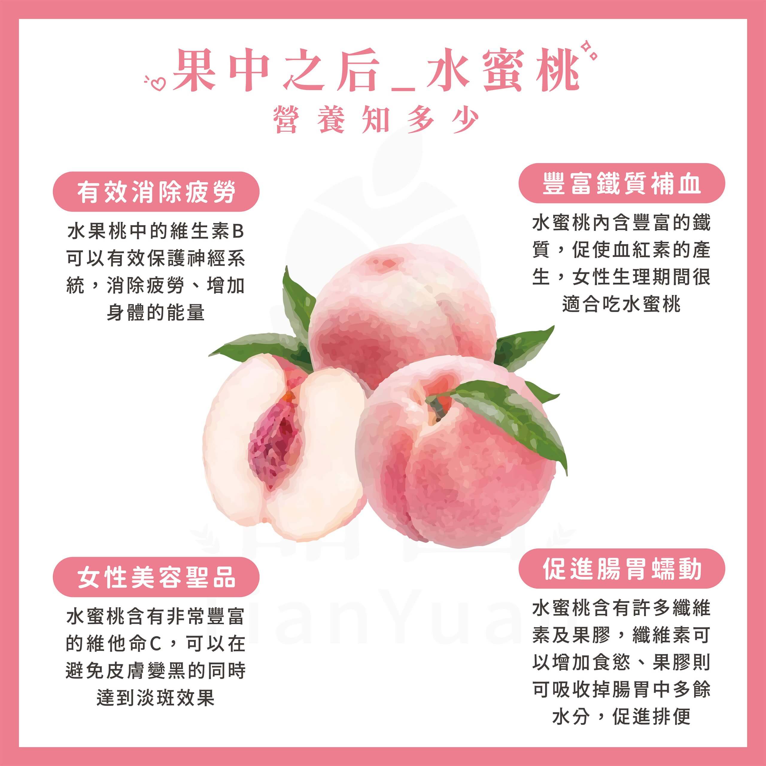 紅玉水蜜桃禮盒-營養價值