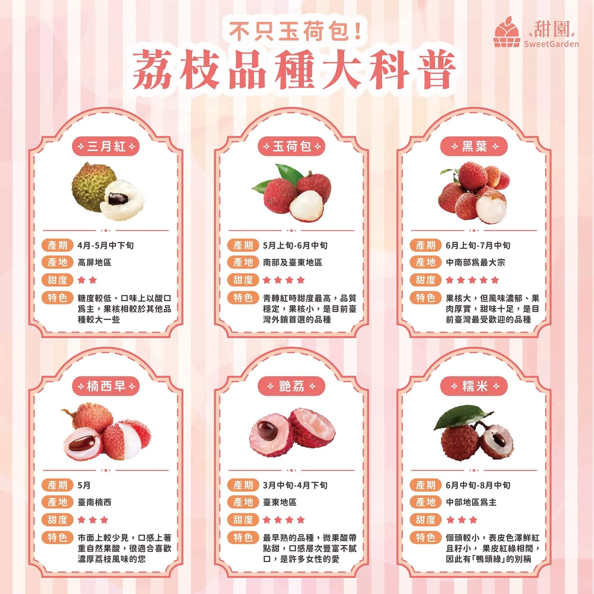 水果禮盒｜荔枝篇－品種介紹