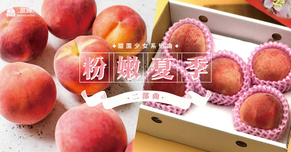 水果禮盒推薦-水蜜桃