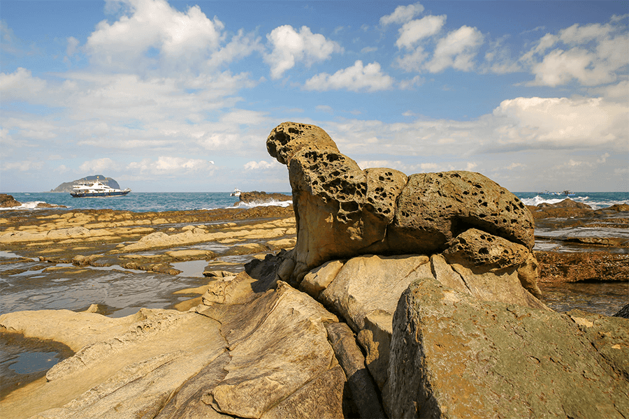 大坪海岸海豹岩