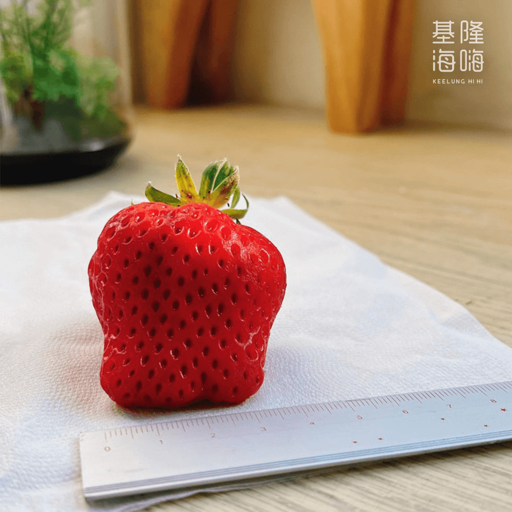 草莓清洗