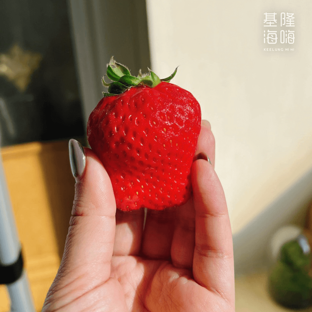 洗草莓／草莓農藥
