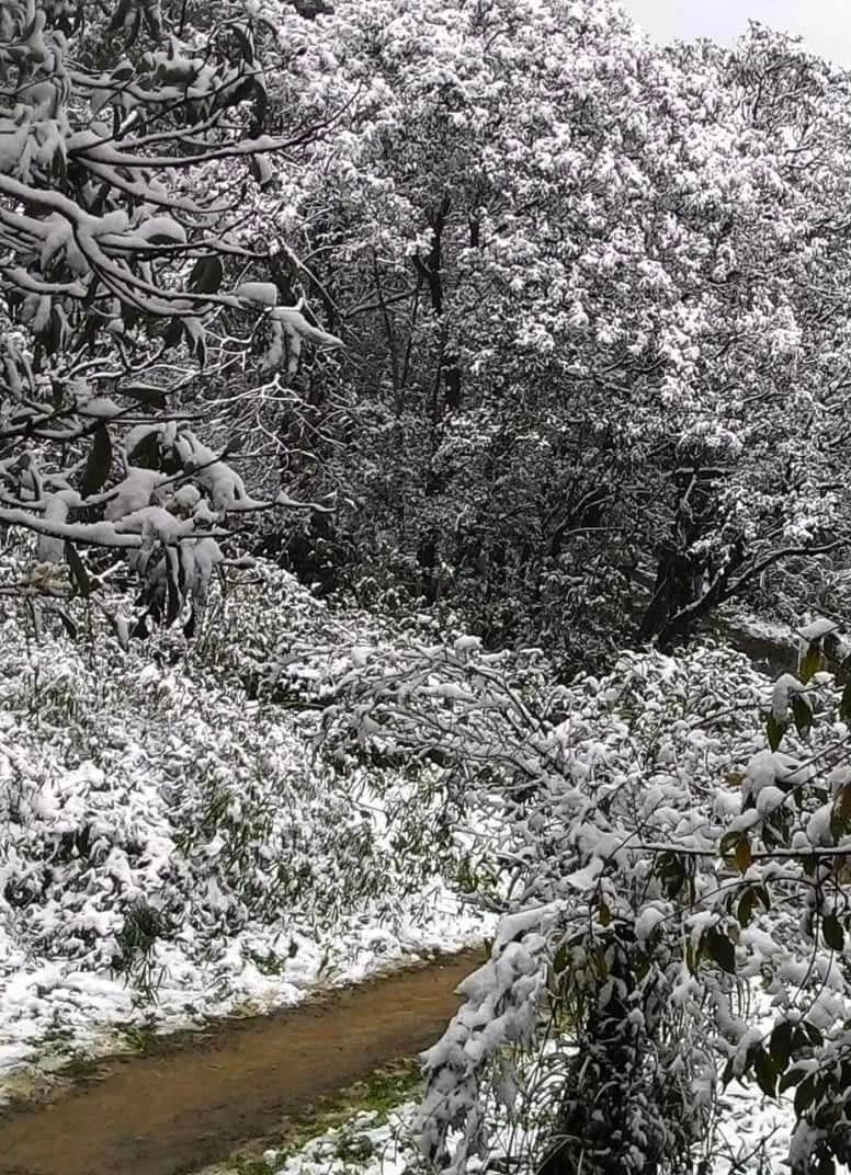 基隆姜子寮山下雪
