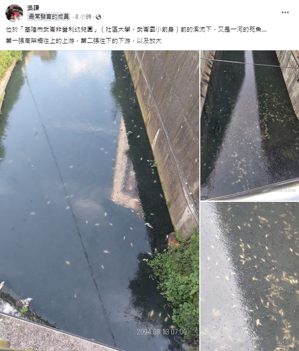 武崙溪死魚