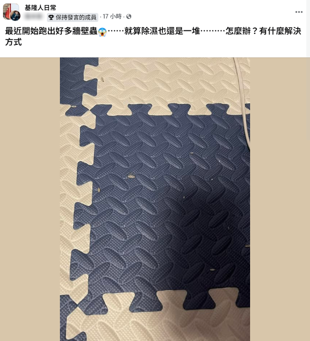 衣蛾