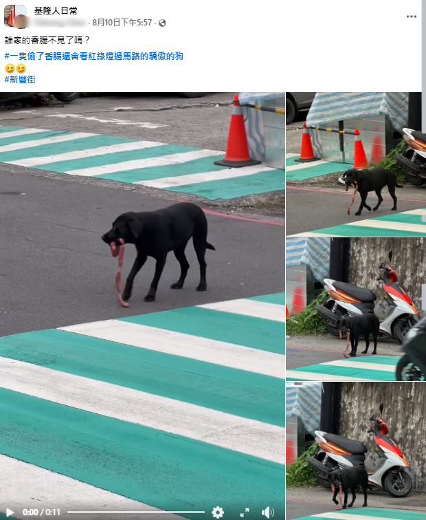 基隆小黑狗叼香腸