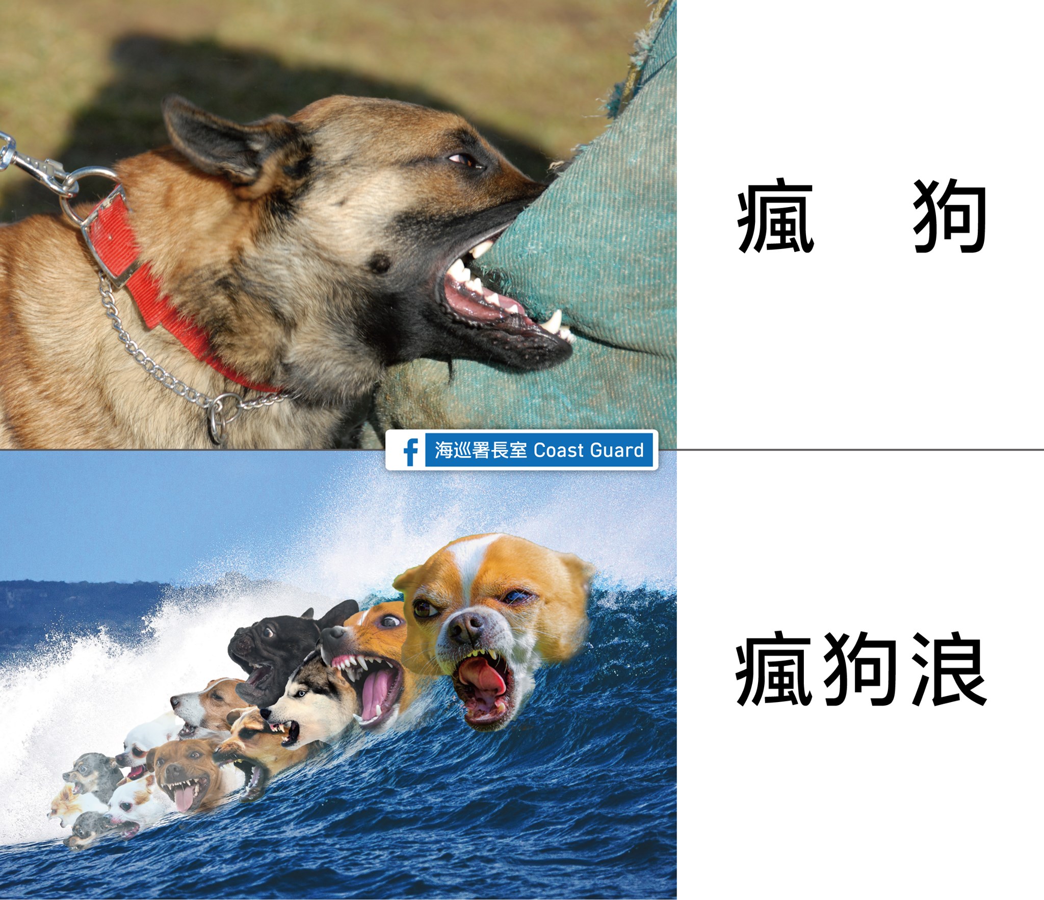 瘋狗浪
