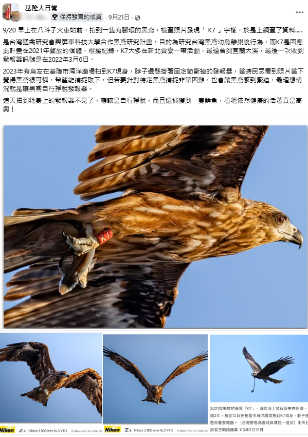 黑鳶K7