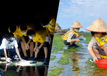 和平島地質公園