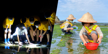 和平島地質公園