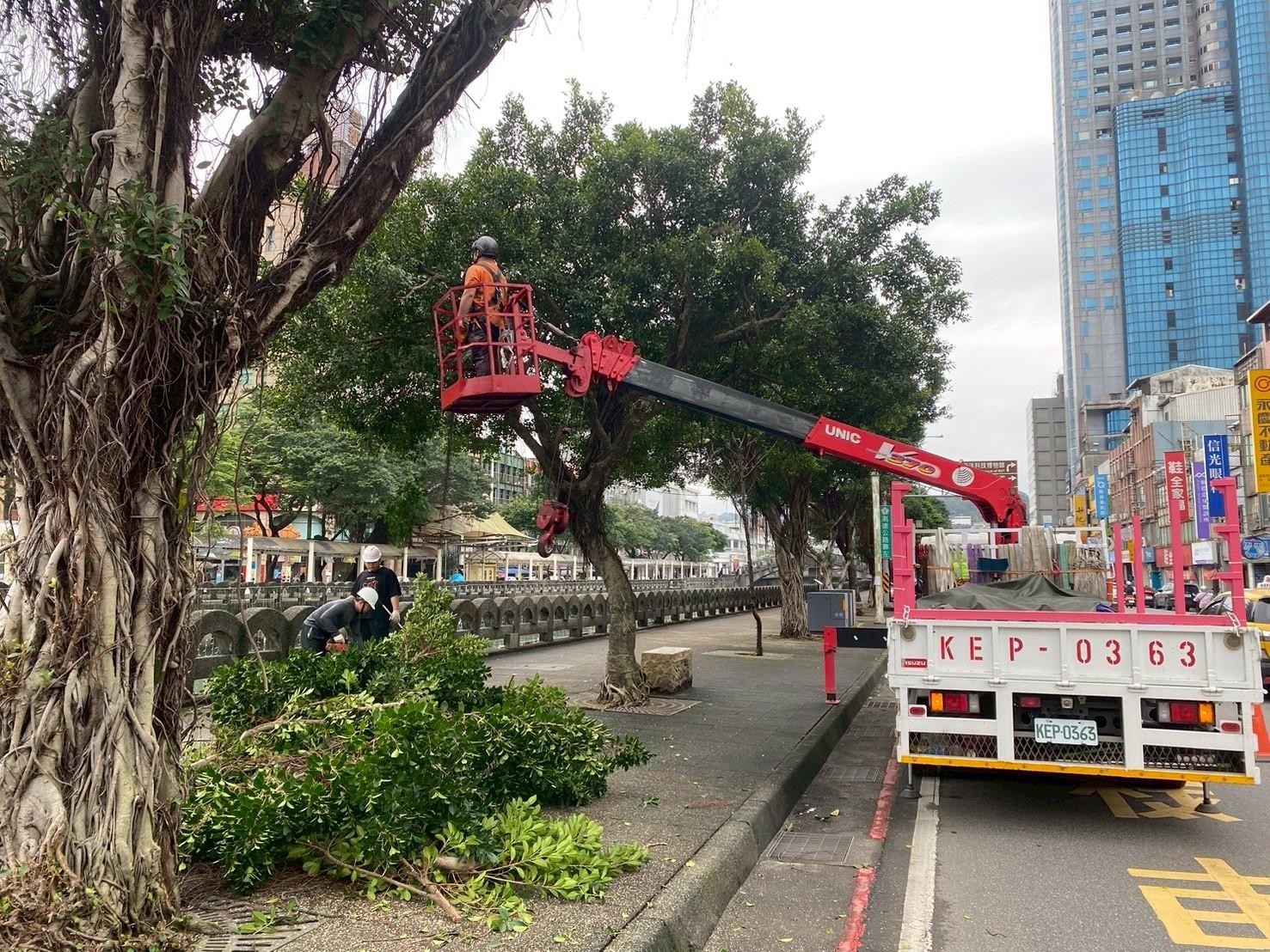 基隆田寮河「鷺鷥林」